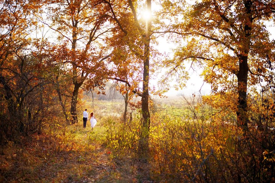 Wedding photographer Volodimir Goncharuk (nivrok). Photo of 20 November 2014