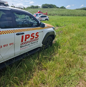 Five workers were attacked by bees in KwaDukuza, KwaZulu-Natal on Tuesday.