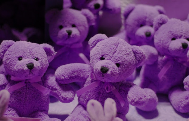 Purple bears di psichocandy