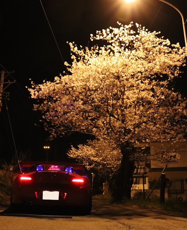 Z4 ロードスターの桜見に行くよ・夜桜と愛車・長瀞桜に関するカスタム事例の投稿画像1枚目