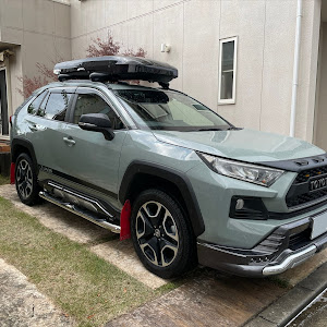 RAV4 MXAA54