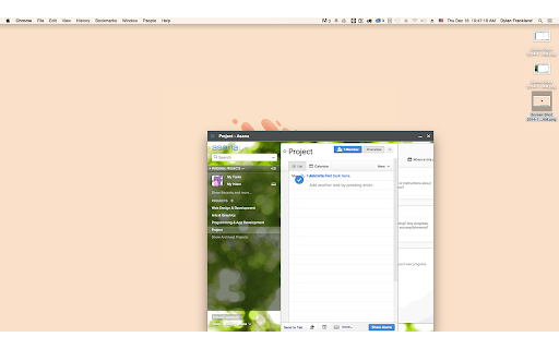 Panel View for Asana