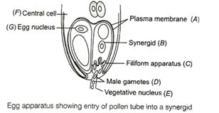 Solution Image