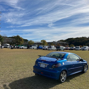 206 A206CC