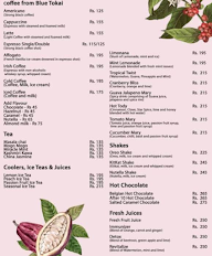 10th Street Cafe menu 1