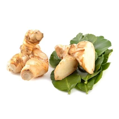 Thai Ginger/Galangal - Exotic - 1 kg