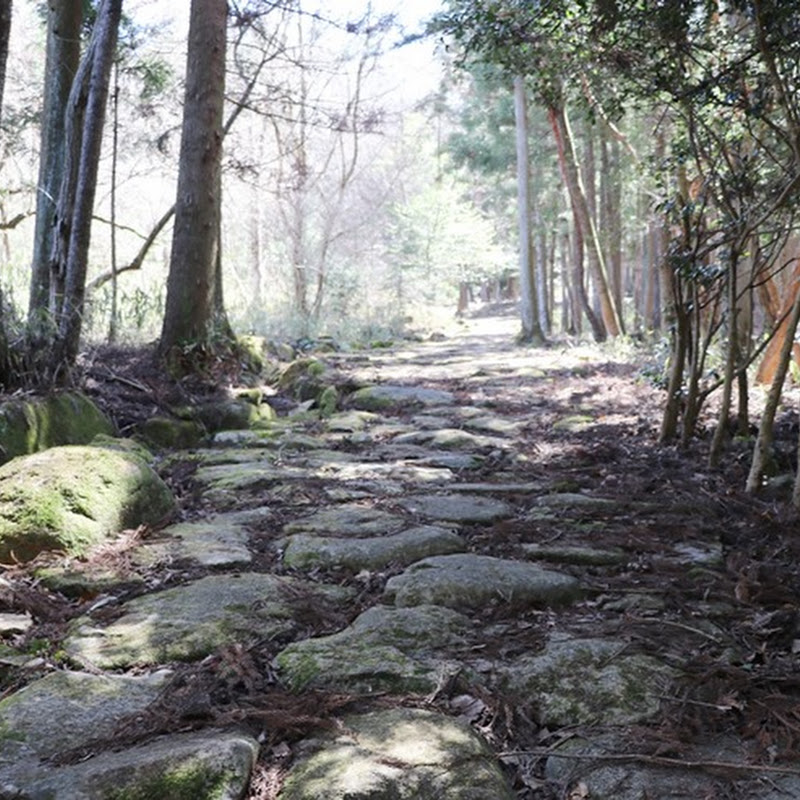 【岐阜・東美濃】大湫宿～大井宿、中津川宿～馬籠宿の史跡を訪ね、中山道を歩く