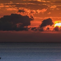 Alba di pesca di gnuc