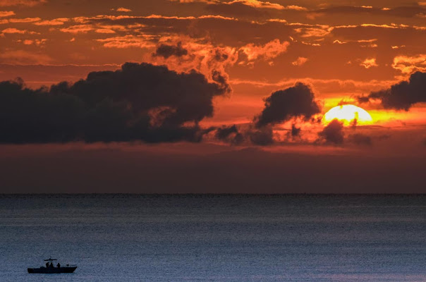 Alba di pesca di gnuc