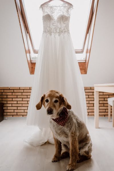 Photographe de mariage Abram Evnin (abramevnin). Photo du 2 novembre 2019