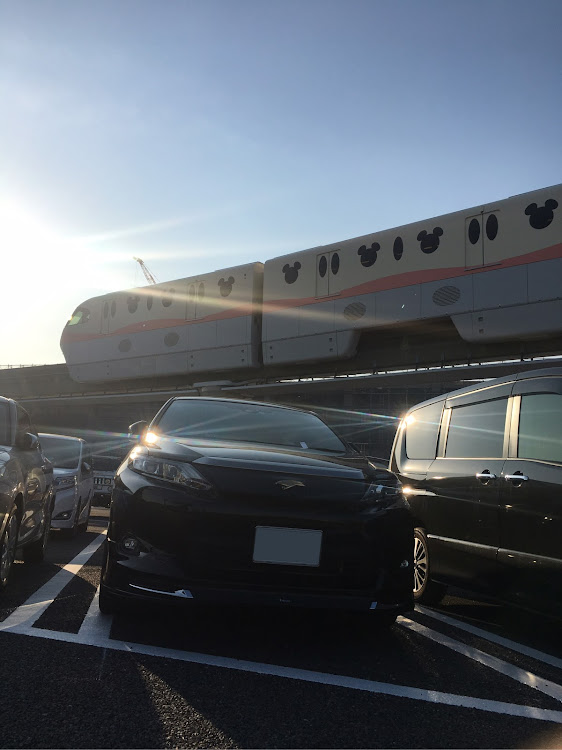 ハリアーのハリアー・ディズニー・ピンボケ・車いじりたいに関するカスタム事例の投稿画像1枚目