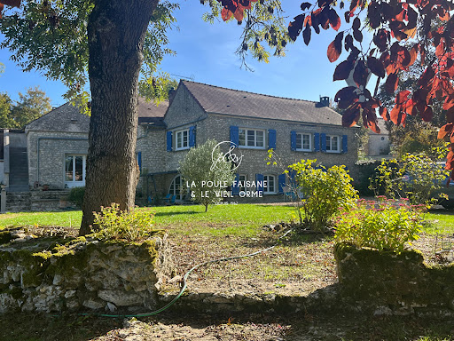 Maison avec jardin et terrasse 4