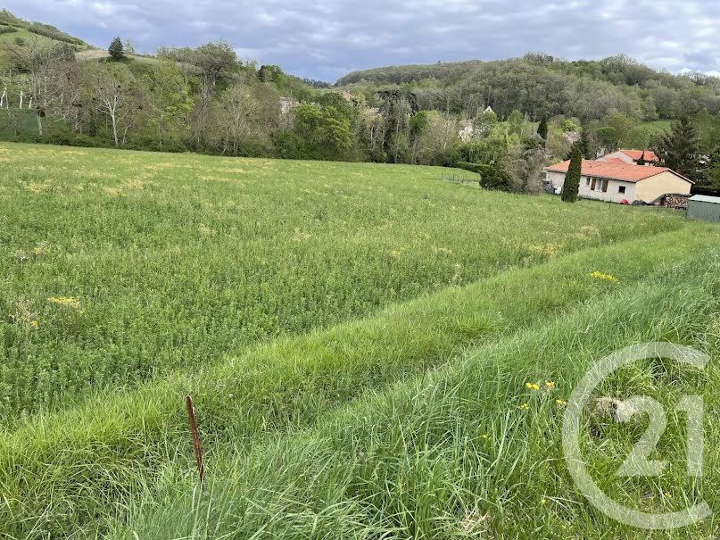 Vente terrain à batir  5381 m² à Teilhet (09500), 60 000 €