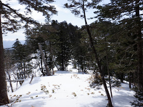 山頂手前の鞍部