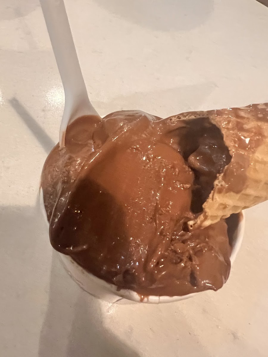 Vegan chocolate fudge with a gluten free cone.