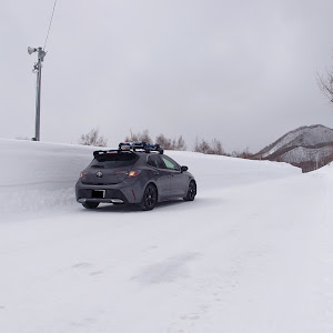 カローラスポーツ NRE210H