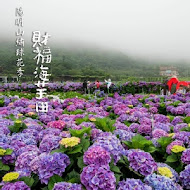 3口四方咖啡館(財福海竽田)