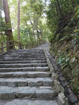 入った高校は男子校でした    [完]