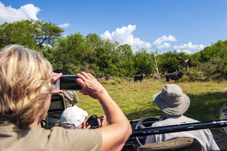 Tourists watch wildebeest at the Phinda Private Game Reserve in KwaZulu-Natal