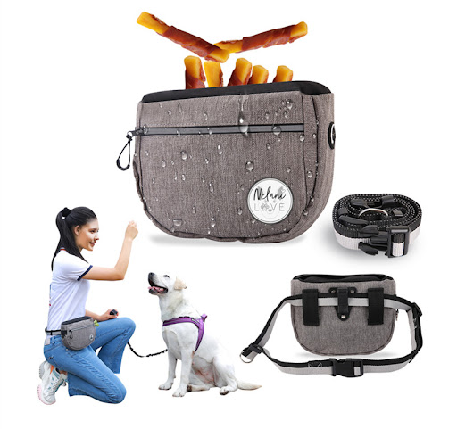 Title 5, Pet Snack Bag for Walking Your Dog. Take treats...