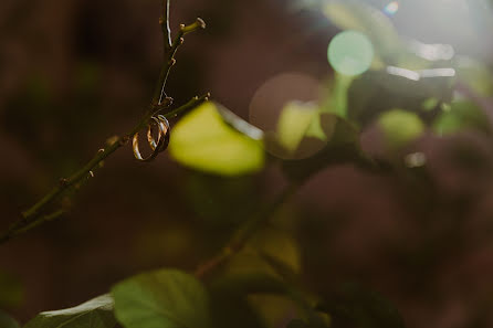 Wedding photographer Santos López (bicreative). Photo of 14 April 2020