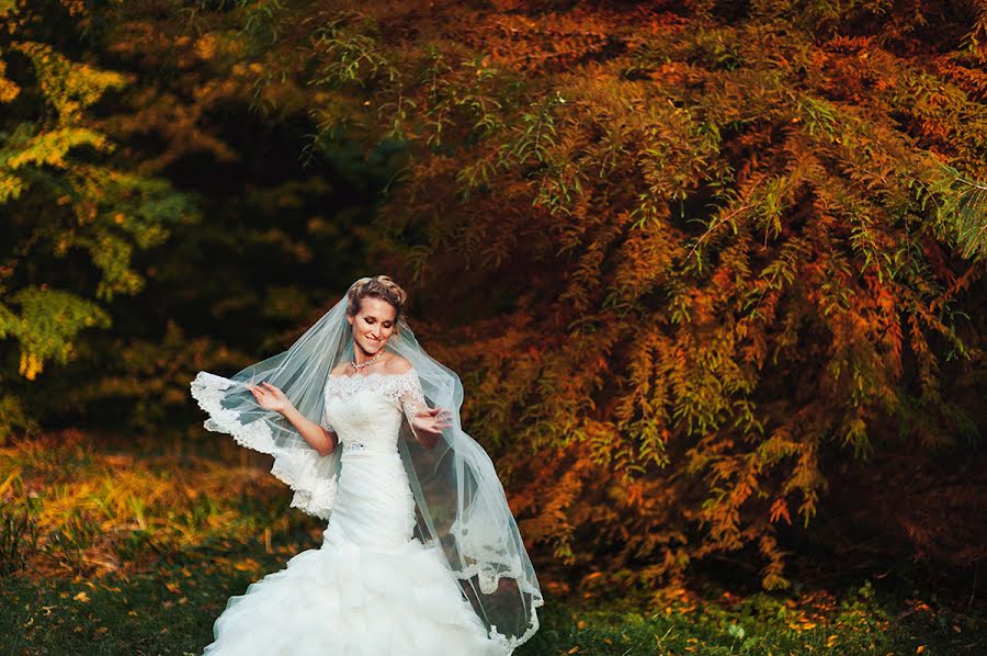婚禮攝影師Dmitriy Vasilenko（dmvasilenko）。2014 12月27日的照片