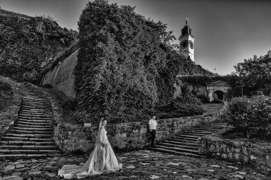 Hochzeitsfotograf Sasa Raskovic (sasaraskovic). Foto vom 8. Juli 2019