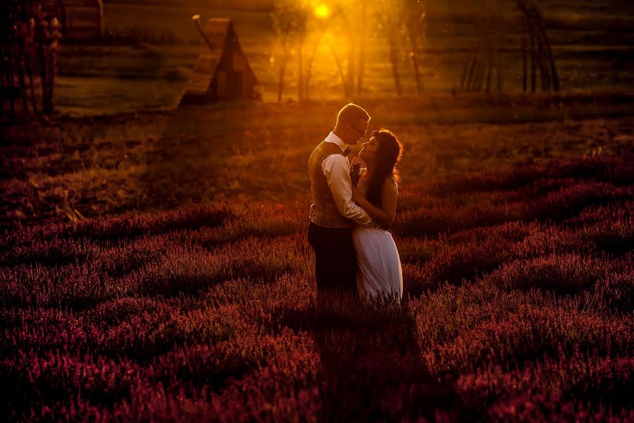 Fotógrafo de bodas Maciek Januszewski (maciekjanuszews). Foto del 15 de julio 2018