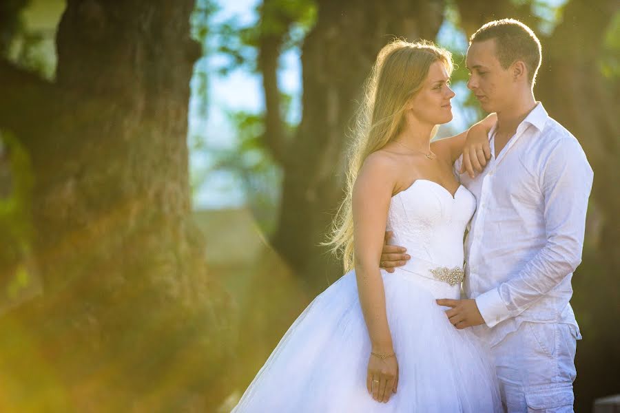 Photographe de mariage Andy Michel (andy). Photo du 22 novembre 2014