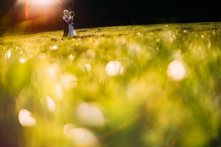 Photographe de mariage Albert Palmer (albertpalmer). Photo du 17 mai 2017