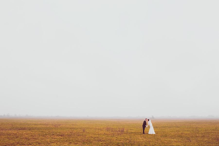 Fotógrafo de bodas Aleksandr Tegza (sanyof). Foto del 26 de febrero 2014