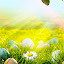 Easter Wallpapers HD Theme