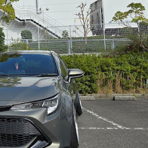 カローラスポーツ NRE210H