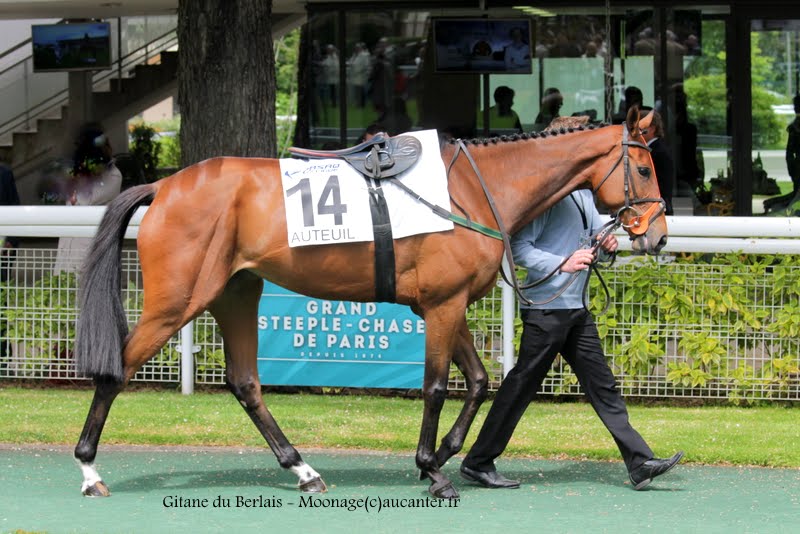 Photos Auteuil 16-05-2015 Week-end printanier de l'obstacle  J0zFsAzD8UdUH-bLgll6rbkIt8lGgpfsFf4Uy22CsCRo=w800-h534-no