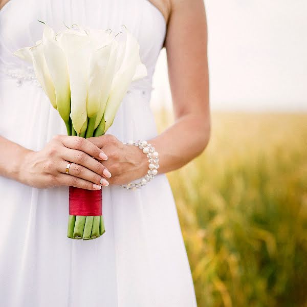 Fotógrafo de casamento Dmitriy Solovkov (solovkov). Foto de 23 de outubro 2016