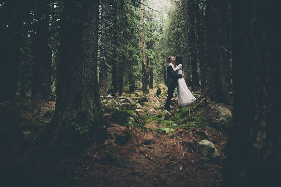 Fotógrafo de bodas Tim Demski (timdemski). Foto del 12 de enero 2017