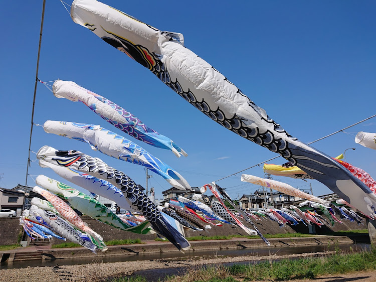 パサートヴァリアントの新潟・鯉のぼり・イベント・大興奮に関するカスタム事例の投稿画像1枚目