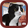 Kittens VR icon