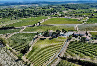 Vignoble avec piscine 2