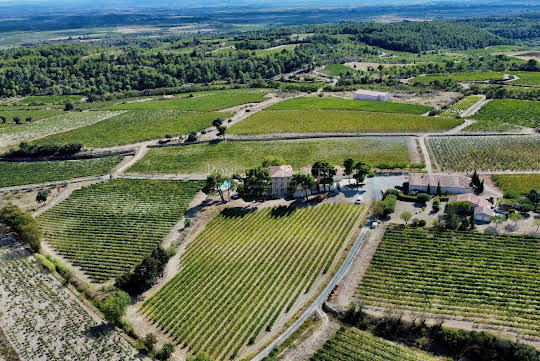 Vignoble avec piscine