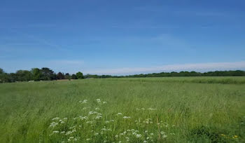 terrain à Hénouville (76)