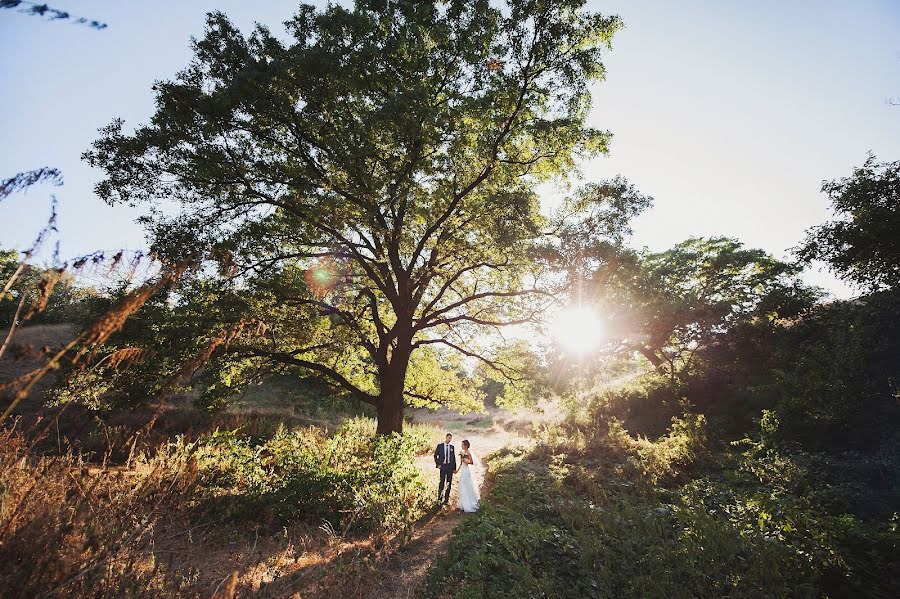 Wedding photographer Irina Kotlyar (irakotlyar). Photo of 7 January 2015