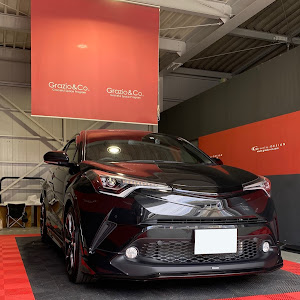 C-HR ZYX10