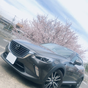 CX-3 DK5FW