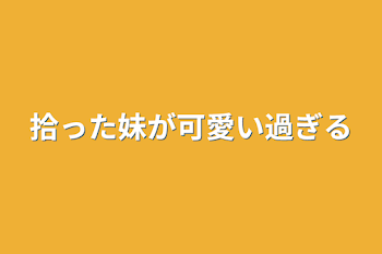 拾った妹が可愛い過ぎる