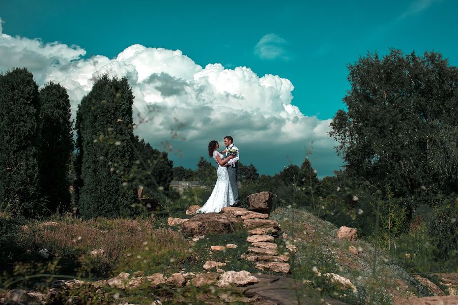 Fotógrafo de casamento Natasha Mischenko (natashazabava). Foto de 20 de agosto 2018