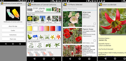Central California Wildflowers Screenshot
