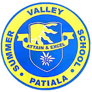 Summer Valley School Patiala  Icon