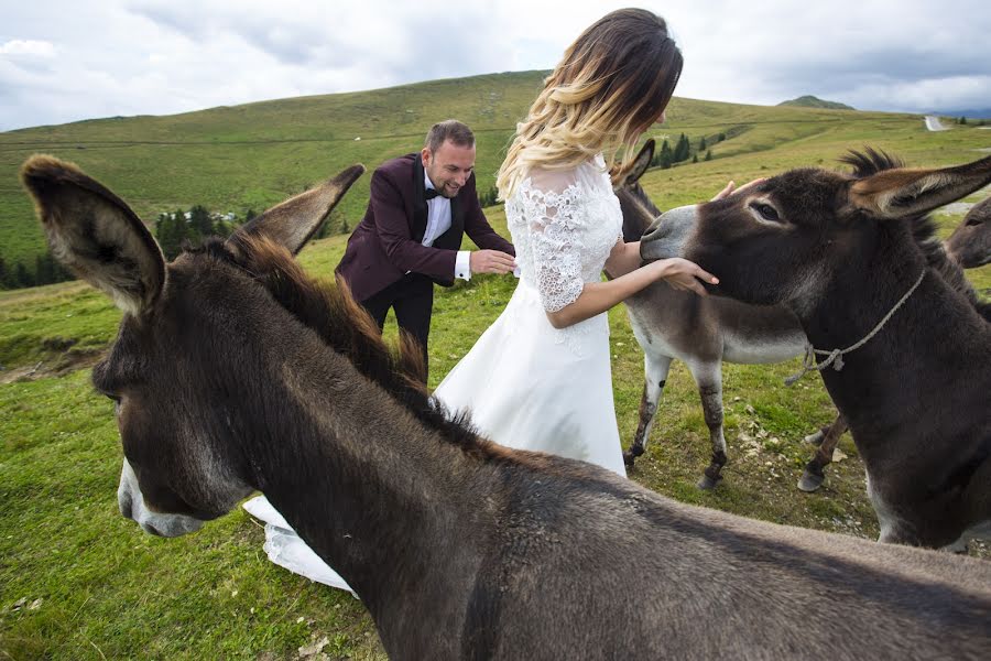 Fotograful de nuntă Ciprian Grigorescu (cipriangrigores). Fotografia din 31 iulie 2018