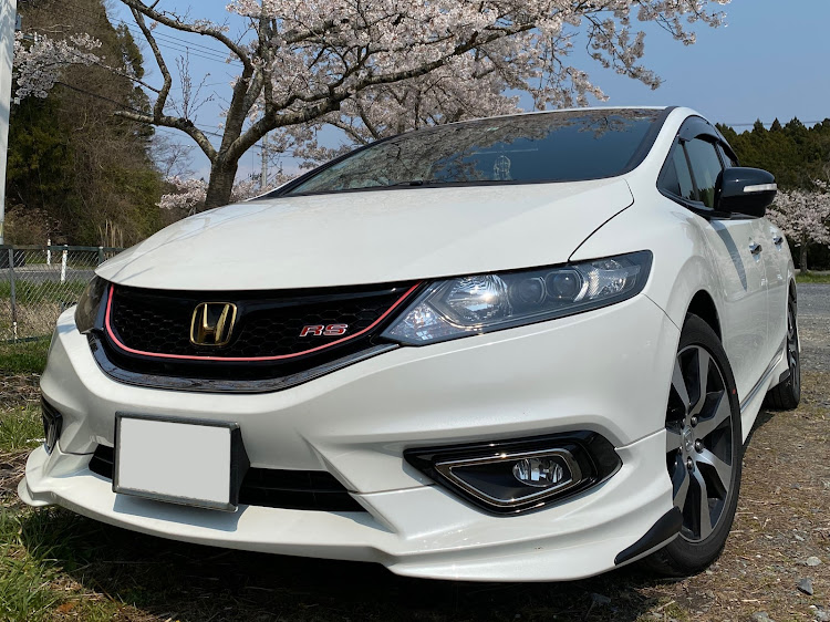 ステップワゴンスパーダの自画自賛(笑)・桜・桜と愛車に関するカスタム事例の投稿画像3枚目